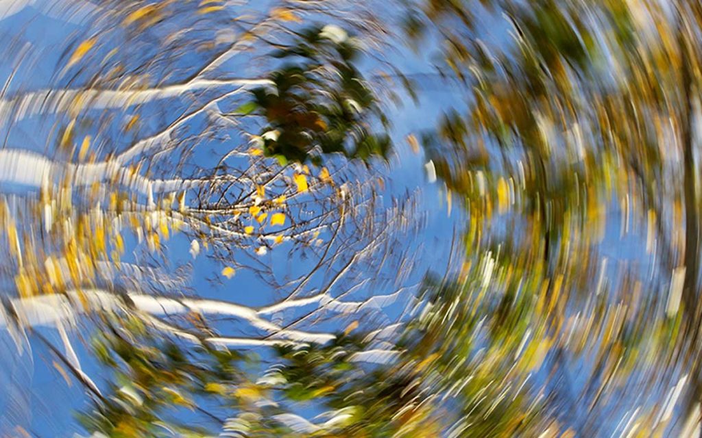 Picture of swirling trees | What Causes of Dizziness, Vertigo and Poor Balance