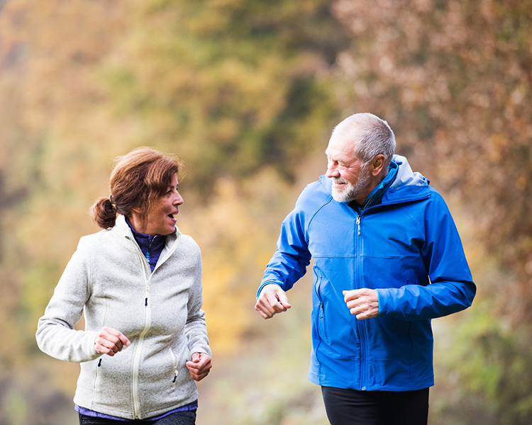 Picture of couple exercising