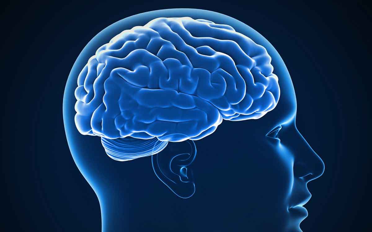 The Effects of Tinnitus on Your Brain Helping Me Hear