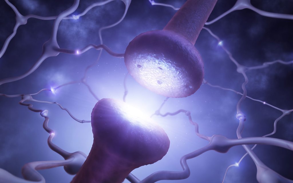 Brain nerve ending affected by hearing loss.