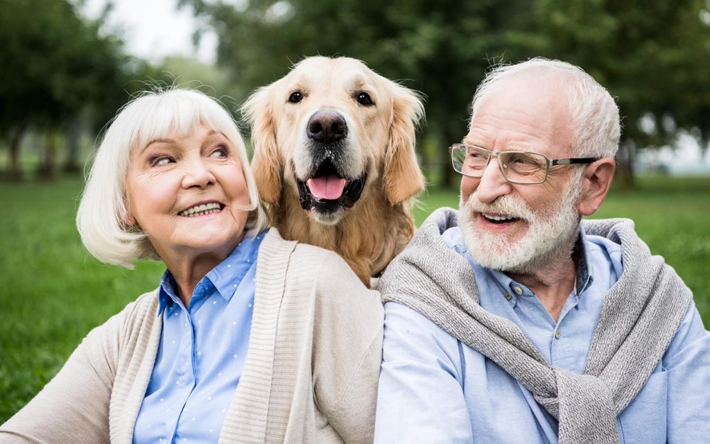 Smiling senior couple looking at adorable dog while resting in park. Happy Seniors wearing hearing aids.