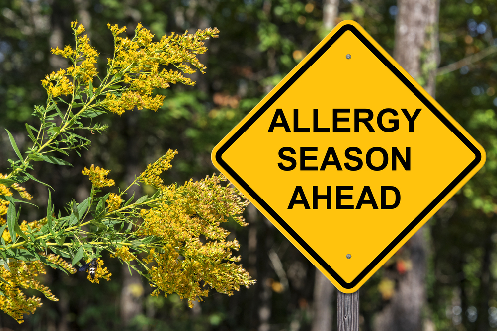sign displaying allergy season ahead.